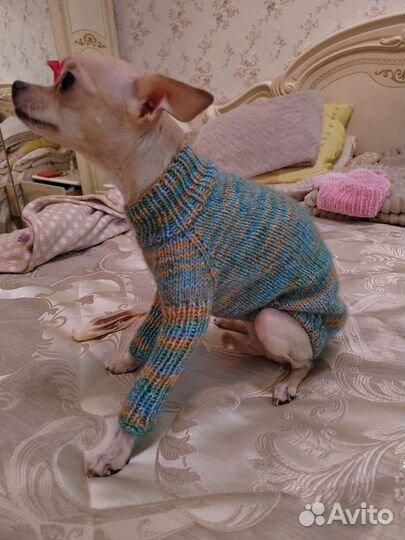 Одежда для маленьких собак