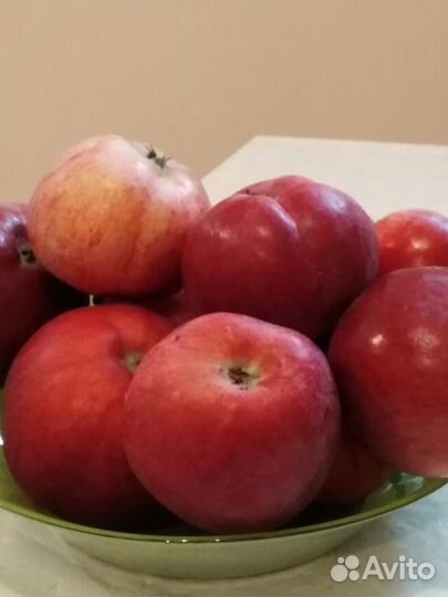 Клубника малина