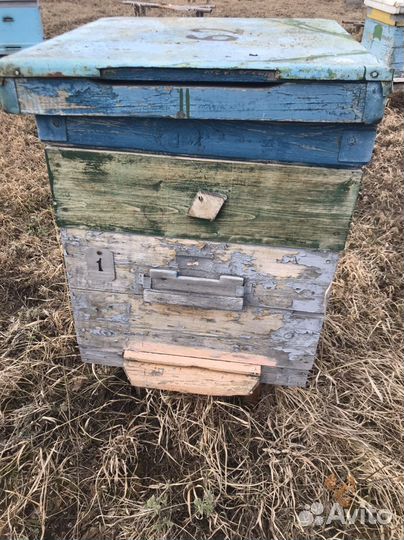 Улей для пчел