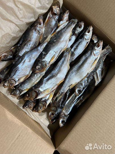 Ямальский вяленый Мегдым 