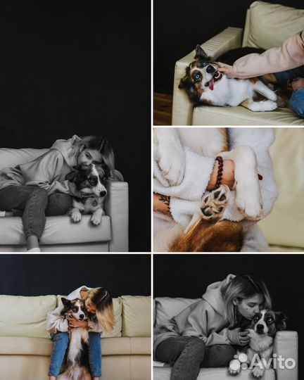 Фотограф / Фотограф анималист