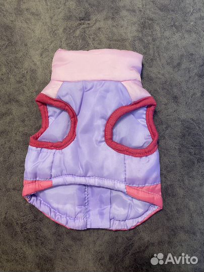 Жилетка и носочки для маленькой собачки