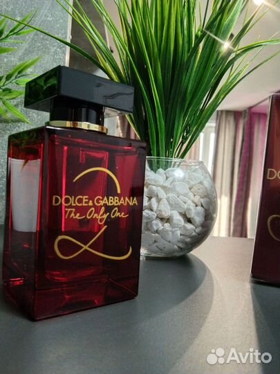 Dolce Gabbana the only one 2