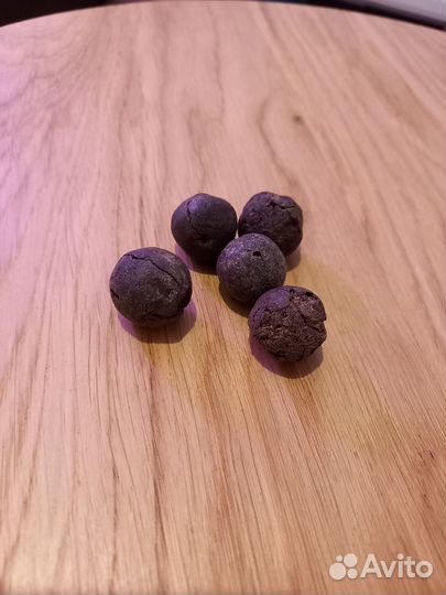 Рудракша. Неочищена. Бусина