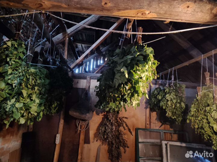 Веники для бани