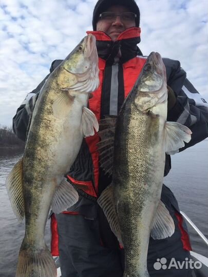 Гид по рыбалке