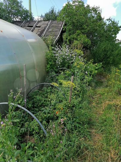 Участок 4,5 сот. (СНТ, ДНП)