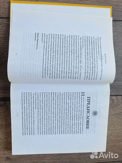 Дизайн человека (четан паркинг) книга