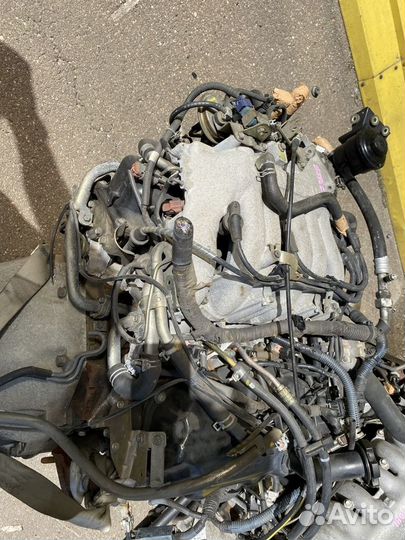 Двигатель VG33E Nissan Terrano Regulus JR50 VG33-2