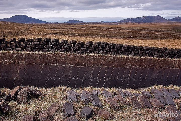 Торф низинный