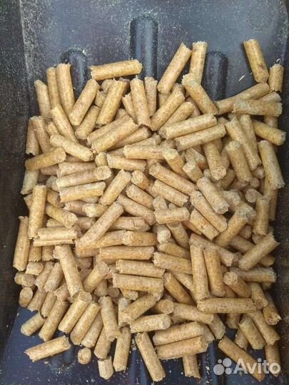 Наполнитель для кошачьего туалета