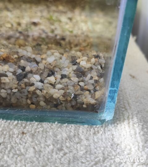 Аквариум аквариумы 5л, 10л