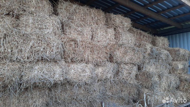 Сено в квадратных тюках