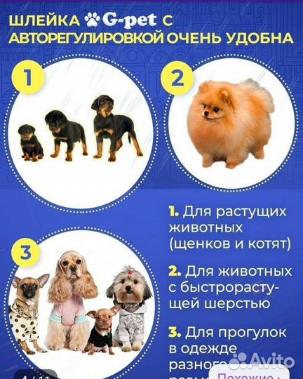 Шлейка для собаки и кошки