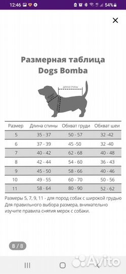 Одежда для собак