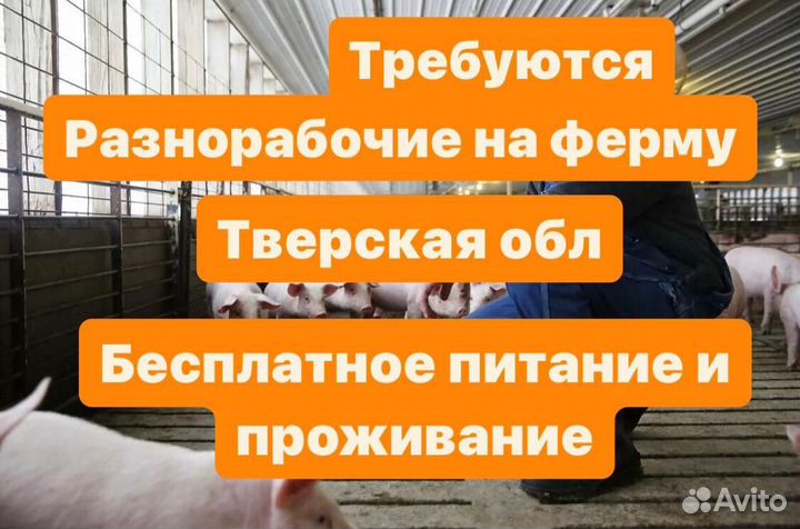 Работа вахта с проживанием и питанием. Тверь