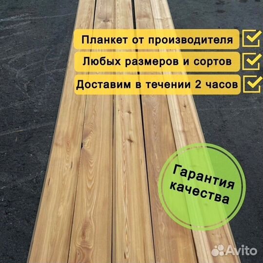 Планкен прямой лиственница