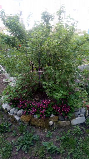 2-к. квартира, 47,3 м², 1/3 эт.