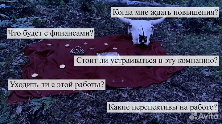 Гадание на картах таро, Таролог, Обучение