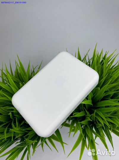 Apple battery pack