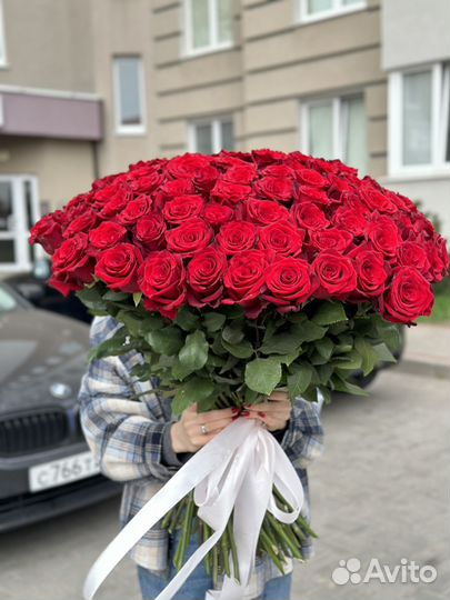 Розы белые, красные, розовые