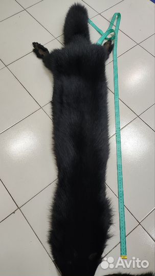 Шкура песца