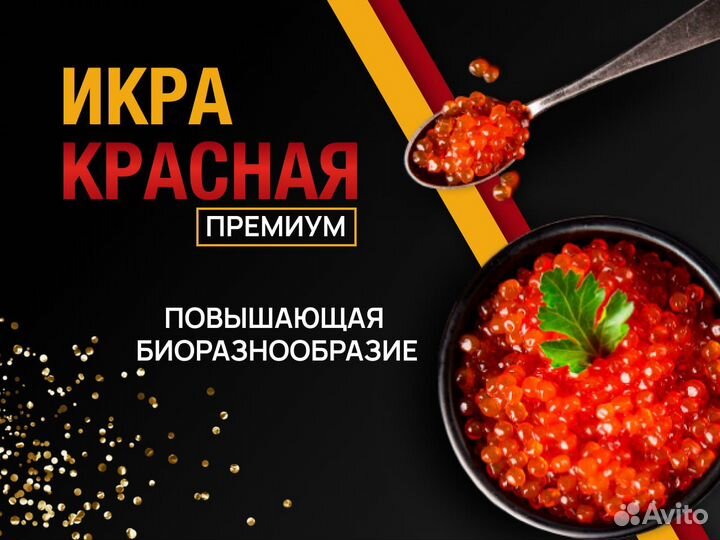 Икра красная премиум опт розница