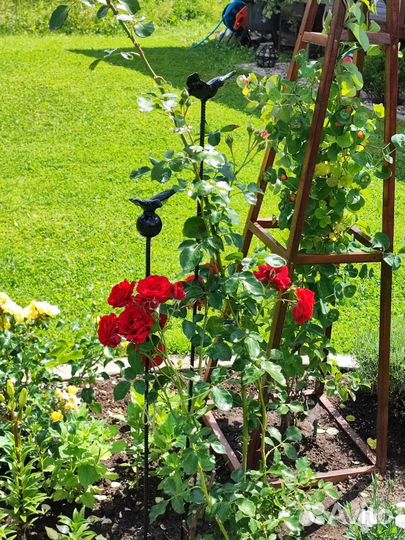 Опора/держатель для растений.Садовый декор