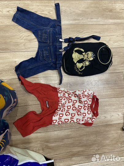 Одежда для собак