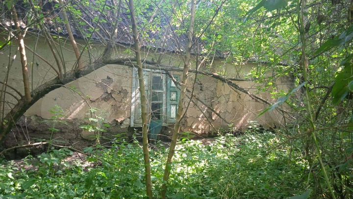 Дом 46,1 м² на участке 70 сот.