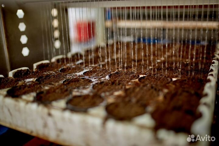 Рабочий в теплицу без опыта