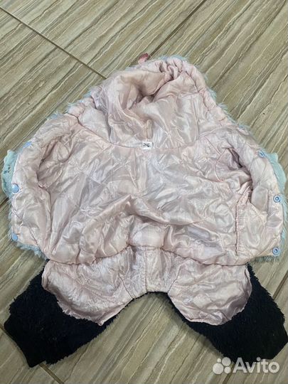 Продам вещи на mini собачку