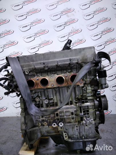 Двигатель toyota pontiac 1ZZ-FE. vista ardeo voltz will VS wish. ZZT251 ZZV50 ZZV50G ZZW30 впуск пла