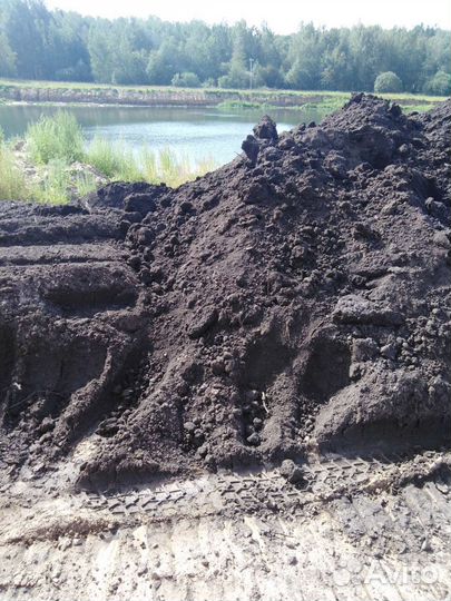 Земля чернозем с доставкой 20куб, так же грунт