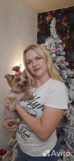 Груминг, стрижка собак Кузнечиха