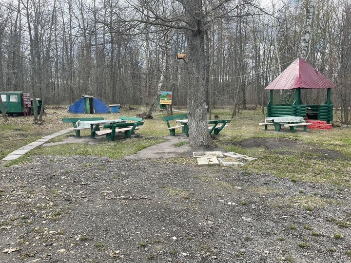 Общепит, 2000 м²