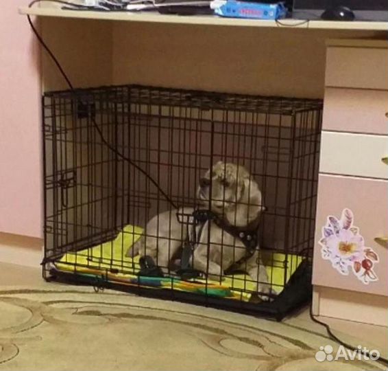 Клетка для собак