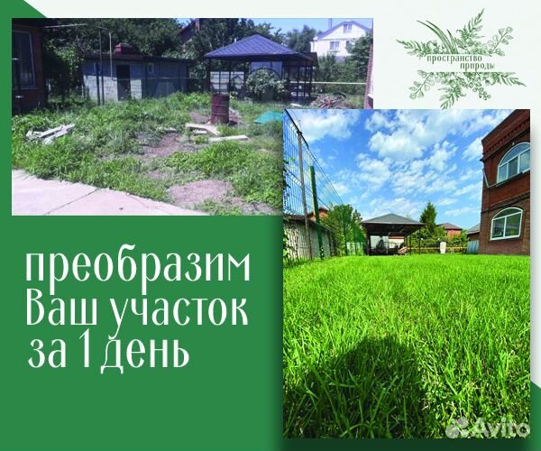 Рулонный газон под ключ