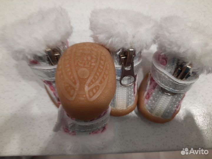 Ботинки для собак