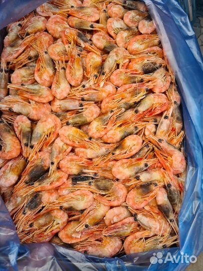 Креветки гренландия 1 кг