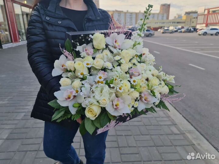 Орхидеи в Липецке