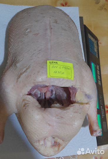 Утка домашняя мясо