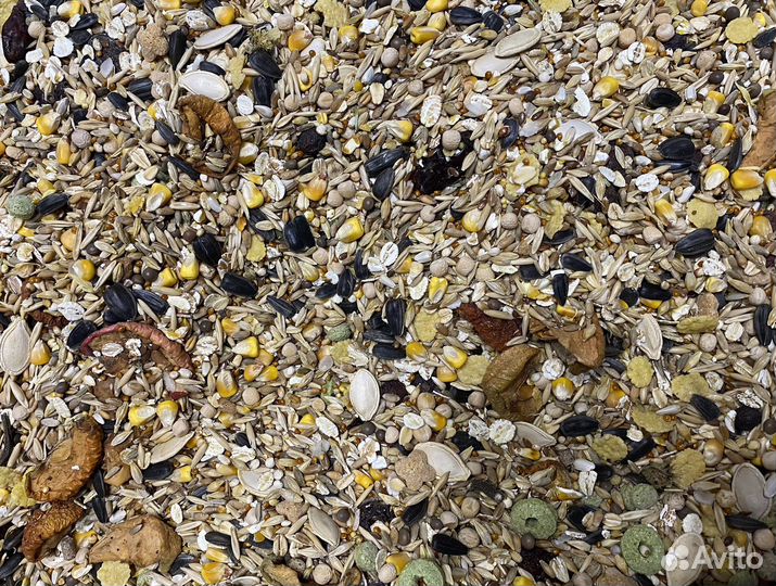 Корм для крыс