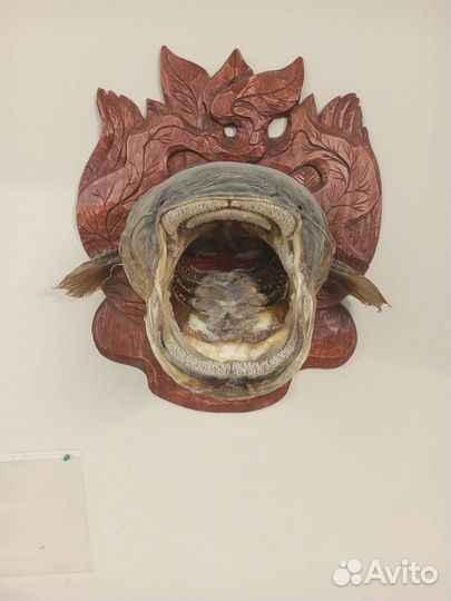 Чучело сома