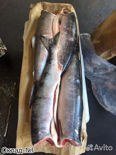 Кета пбг (1 сорт)