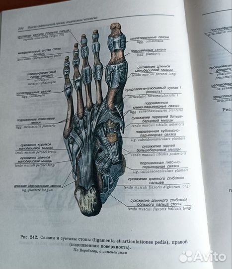 Атлас анатомии человека билич