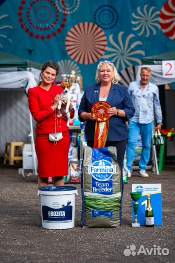 Услуги хендлера