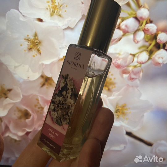 Духи Siordia Parfums