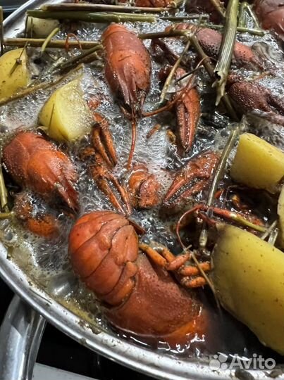 Речные раки. Размер разный