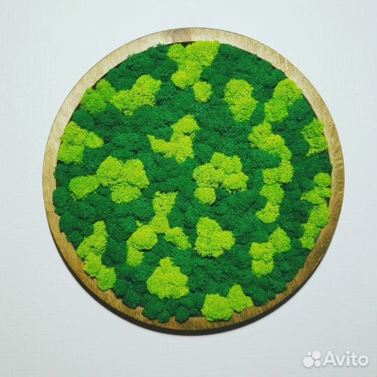 Панно стабилизированный мох круг в раме